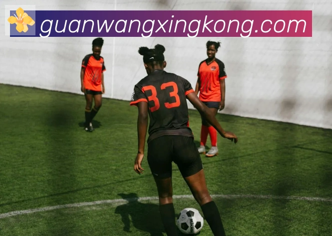 星空体育官网入口发展历程