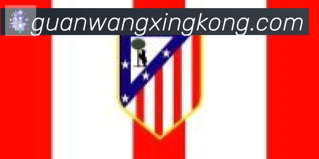 星空体育官网入口合作伙伴